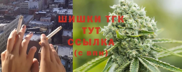 трава Вязьма